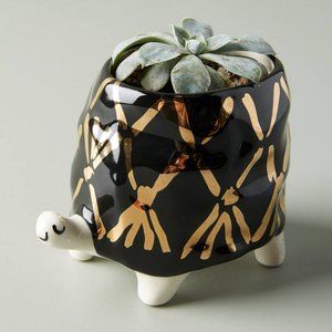 Gail CC Ceramics Turtle Planter